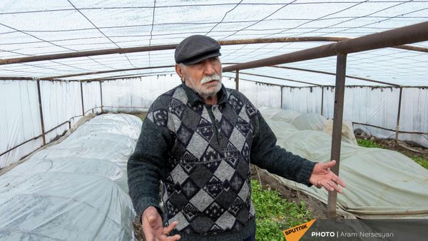 Արմավիրի ջերմոցներից մեկի սեփականատեր Ռազմիկ Մանուկյանը - Sputnik Արմենիա