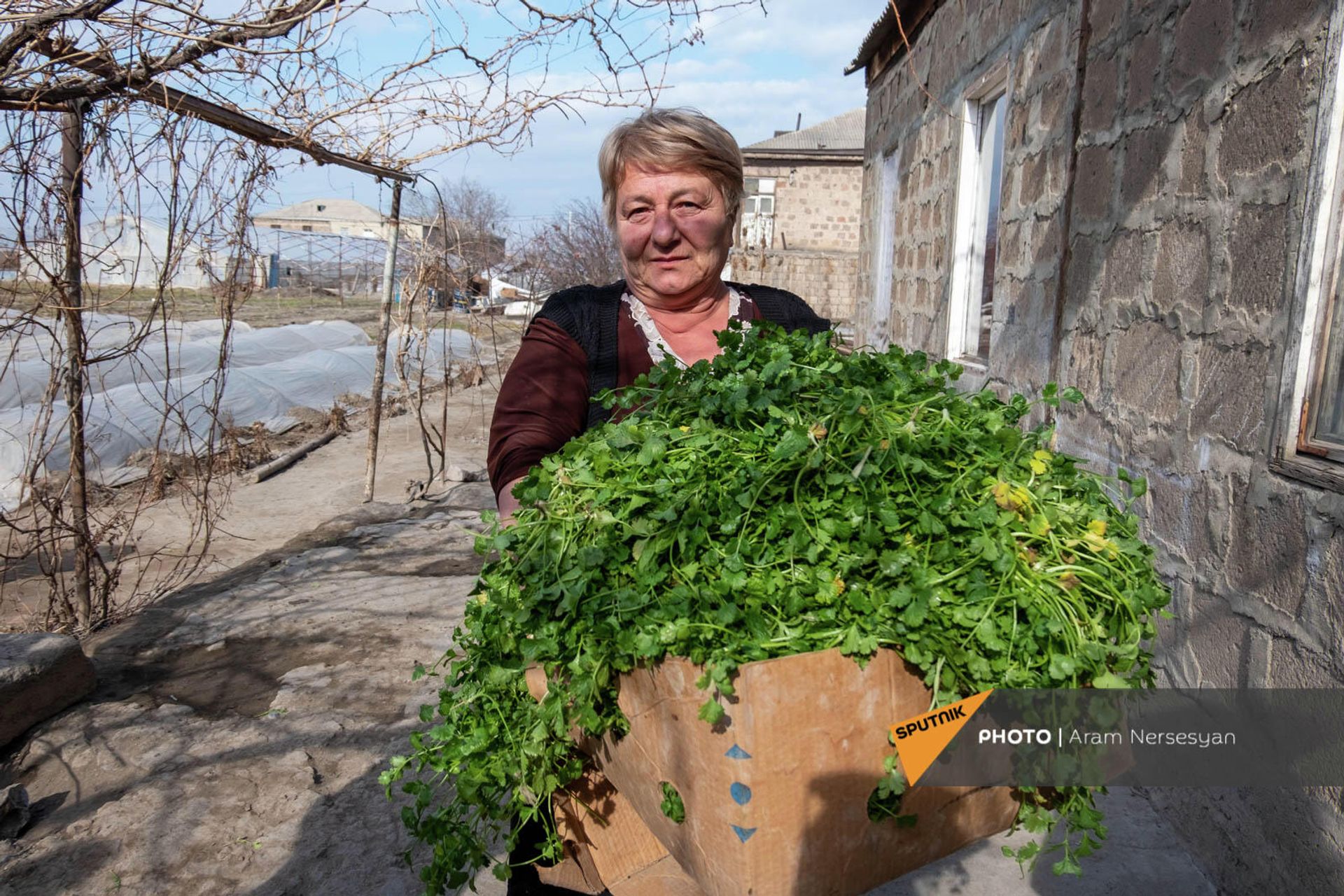 Собственница парника в Армавире Лариса Саакян Собственница парника в Армавире Лариса Саакян - Sputnik Армения, 1920, 12.02.2022