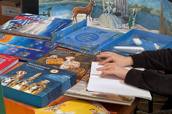 Иллюстрированная интерактивная русская литература для детей с нарушениями зрения - Sputnik Армения