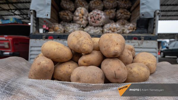 Оптовый рынок сельхозпродукции в селе Айанист - Sputnik Армения