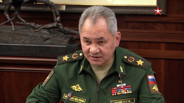 Шойгу поблагодарил главу МО Армении за оперативную работу при обострении ситуации в Казахстане - Sputnik Армения
