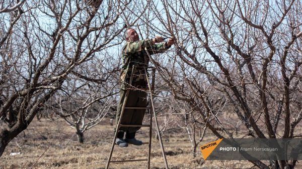 Житель общины Налбандян Вачик Хачатрян - Sputnik Армения