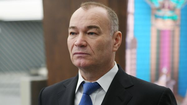 Председатель совета директоров АО Международный аэропорт Шереметьево Александр Пономаренко - Sputnik Армения