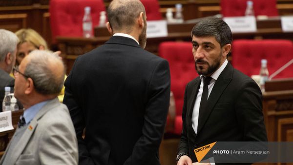 «Քաղաքացիական պայմանագիր» խմբակցության պատգամավոր Վիլեն Գաբրիելյանը - Sputnik Արմենիա