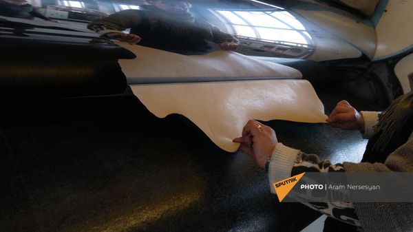 Ереванский кожевенный завод - Sputnik Армения