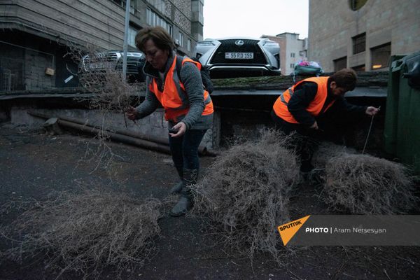 Сотрудники организации Вывоз мусора и санитарная очистка Еревана за работой Сотрудники организации Вывоз мусора и санитарная очистка Еревана за работой - Sputnik Армения