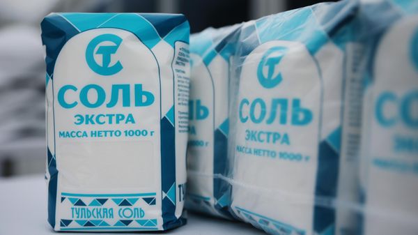 Открытие завода по производству поваренной соли в Тульской области - Sputnik Армения