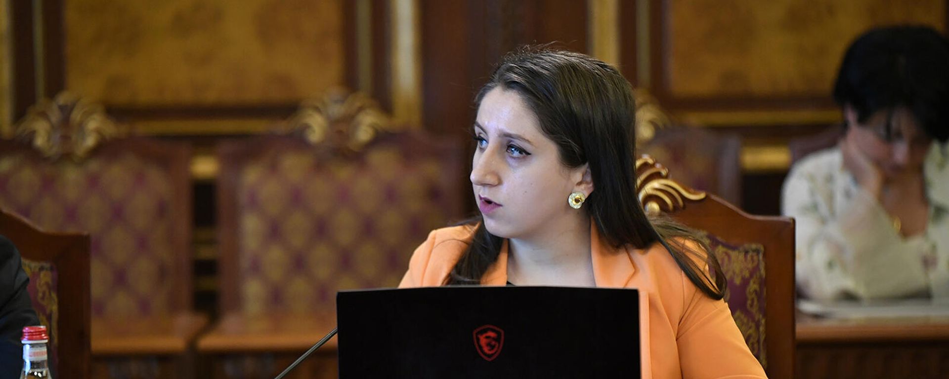 Էկոնոմիկայի փոխնախարար Անի Իսպիրյանը Ներդրումային կոմիտեի առաջին նիստի ժամանակ (14 մարտի, 2022թ). Երևան - Sputnik Արմենիա, 1920, 14.07.2022