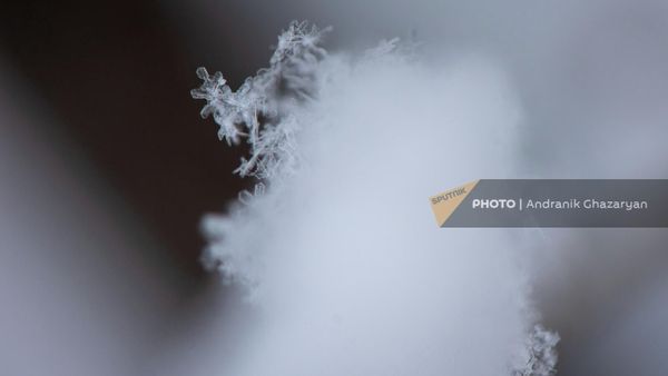 Весенний снег в Ереване - Sputnik Армения