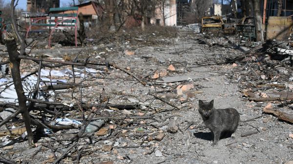 Ռմբակոծված Մարիուպոլը - Sputnik Արմենիա