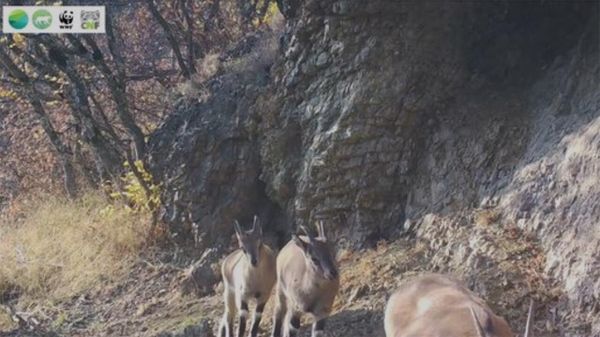Հրաշքները - Sputnik Армения