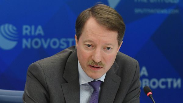 Заместитель руководителя Федеральной таможенной службы Владимир Ивин - Sputnik Армения