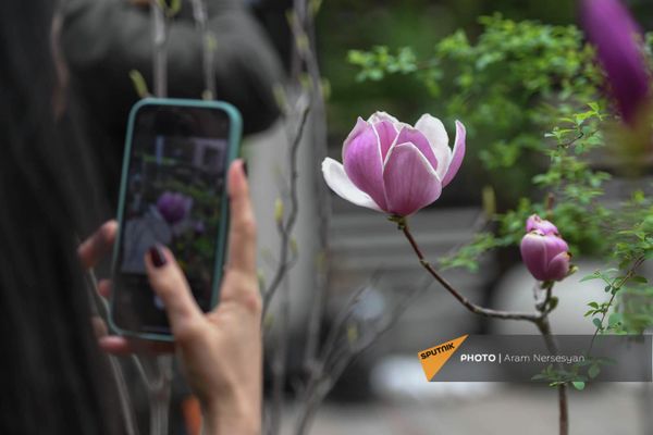 Кстати, можно вовсе ничего не покупать, а просто гулять по "Весеннем саду" и фотографироваться - Sputnik Армения