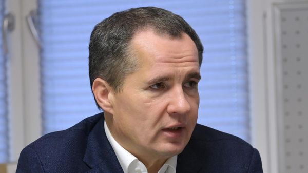 Губернатор Белгородской области Вячеслав Гладков - Sputnik Армения