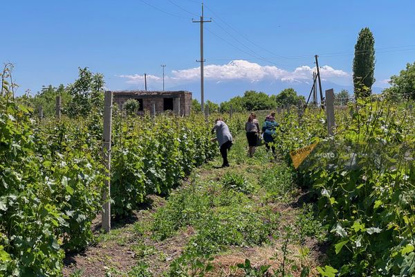 Ամբերդի դպրոցի անձնակազմն աշխատում է դպրոցի այգում։ - Sputnik Արմենիա