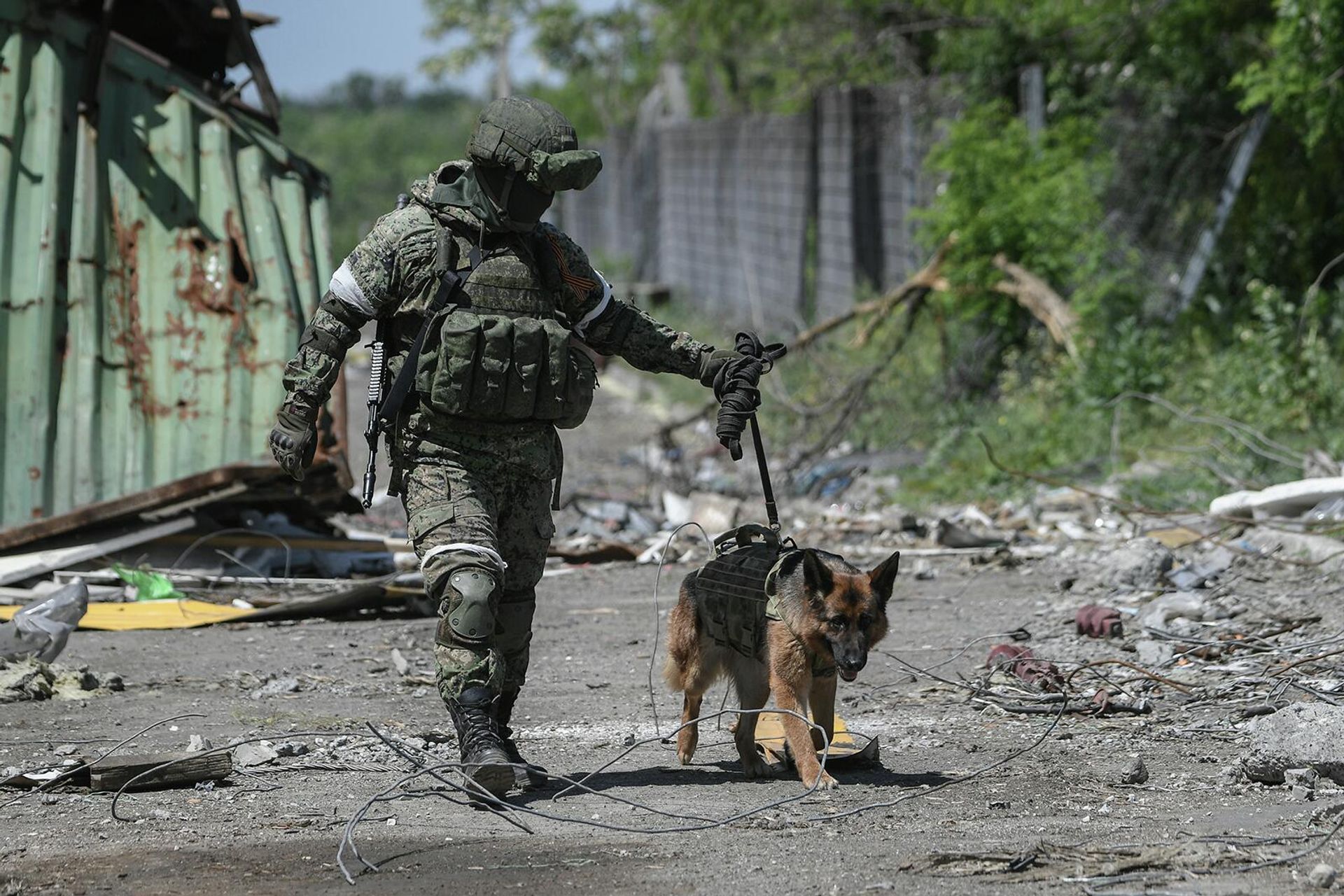 Военнослужащий Международного противоминного центра Вооруженных сил РФ выводит служебную собаку на работы по разминированию территории металлургического комбината Азовсталь и бывших позиций ВСУ в Маруиполе - Sputnik Армения, 1920, 08.06.2022