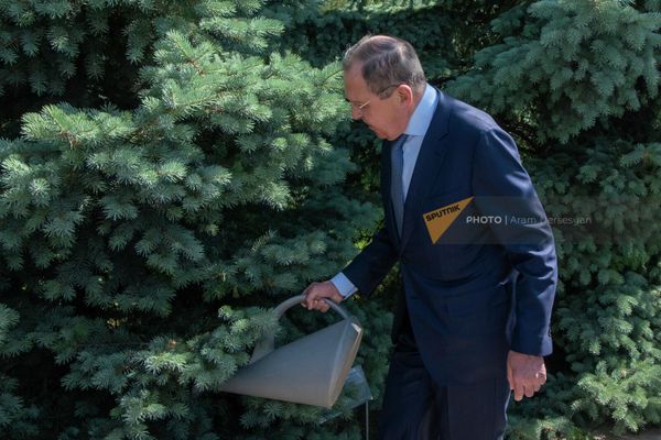 Сергей Лавров поливает посаженную им ель  - Sputnik Армения