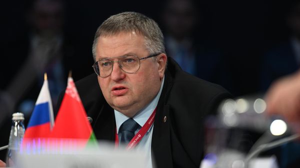 Заместитель председателя правительства РФ Алексей Оверчук  - Sputnik Армения