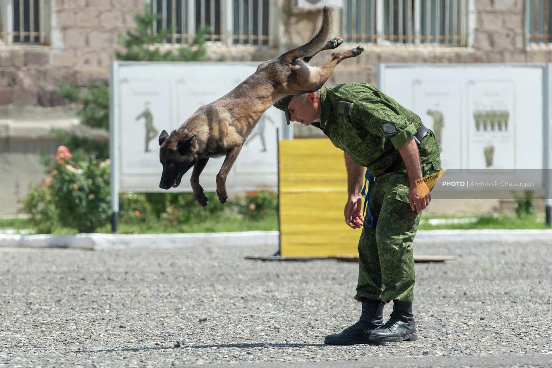Показательные выступления кинологов Арташатского отряда пограничного управления ФСБ России в Армении во время празднования 67-летия отряда - Sputnik Армения, 1920, 24.06.2022