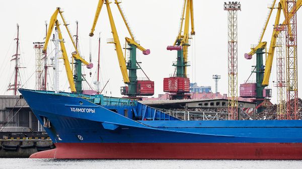 Сухогруз Холмогоры в Калининградском морском торговом порту (30 июня 2022). Калининград - Sputnik Армения