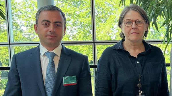 Ишхан Сагателян на встрече с вице-президентом Европарламента Хайди Хаутала (5 июля 2022). Страсбург - Sputnik Армения