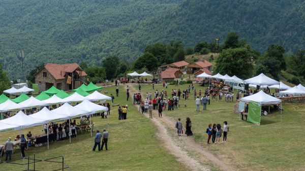 Ապրեսյան. Կազմակերպված ներգնա զբոսաշրջությունը մեզ մոտ դեռ կայուն փուլ չի մտել - Sputnik Արմենիա