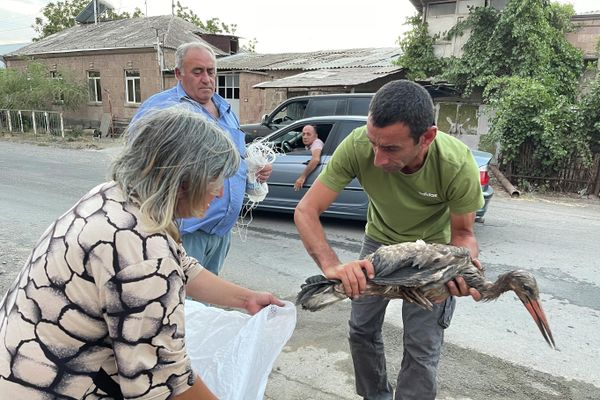 «Էնդեմիկ և վտանգված տեսակների պահպանություն» հիմնադրամի նախագահ Մանուկ Մանուկյանը - Sputnik Արմենիա