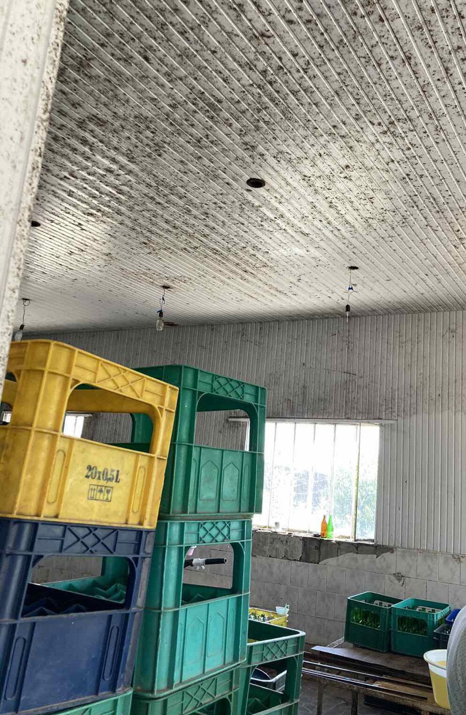 Приостановлена деятельность цеха по производству газированных напитков ИП Гарника Шириняна из-за зафиксированных нарушений санитарно-гигиенических норм - Sputnik Արմենիա, 1920, 12.08.2022