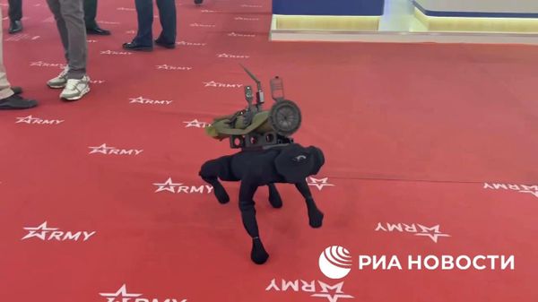 Робопса показали на форуме Армия-2022 - Sputnik Армения