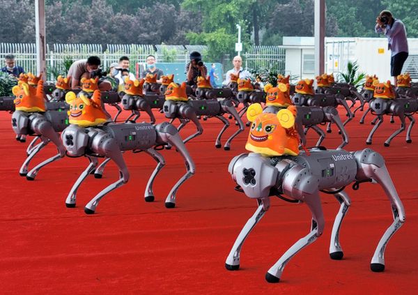 Танец "четвероногих" роботов компании Unitree Robotics стал одним из самых зрелищных моментов конференции и был посвящен символу 2022 года – тигру, поэтому на каждом из роботов сидел игрушечный тигренок - Sputnik Армения