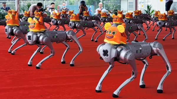 Танец четвероногих роботов компании Unitree Robotics - Sputnik Армения