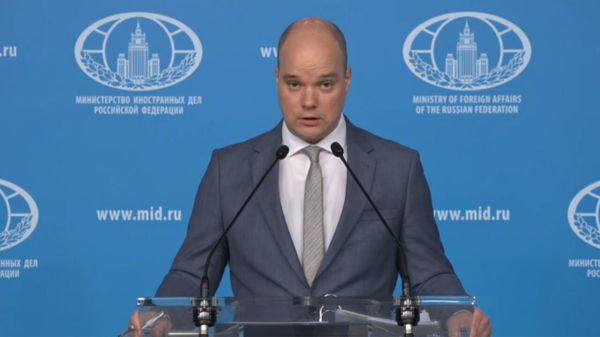 Брифинг заместителя директора Департамента информации и печати МИД России Ивана Нечаева  - Sputnik Армения