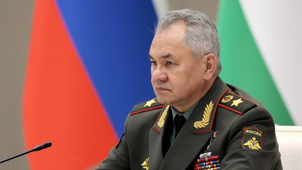 Սերգեյ Շոյգու - Sputnik Արմենիա