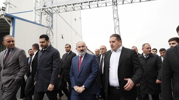 Եղվարդում համակցված կերերի գործարան է բացվել - Sputnik Արմենիա