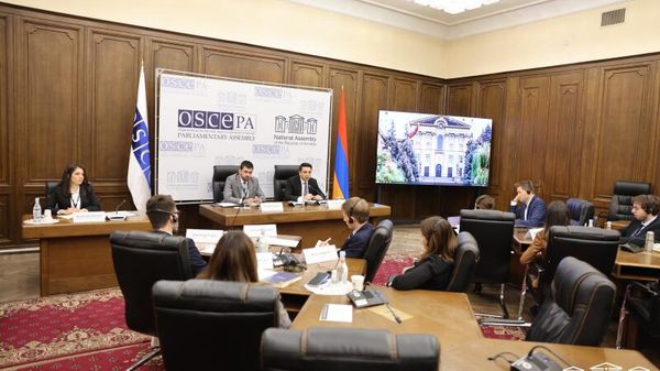 Ալեն Սիմոնյանը հանդիպել է ԵԱՀԿ խորհրդարանական վեհաժողովի երիտասարդ պատգամավորների հետ  - Sputnik Արմենիա