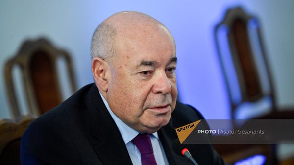 ՌԴ նախագահի միջազգային մշակութային համագործակցության հարցերով ներկայացուցիչ Միխայիլ Շվիդկոյը - Sputnik Արմենիա