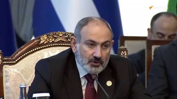 Выступление премьер-министра Армении Никола Пашиняна на саммите Высшего Евразийского экономического совета - Sputnik Армения