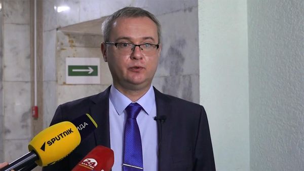 Заместитель начальника главного управления по вопросам миграции МВД РФ, полковник полиции Дмитрий Демиденко - Sputnik Армения
