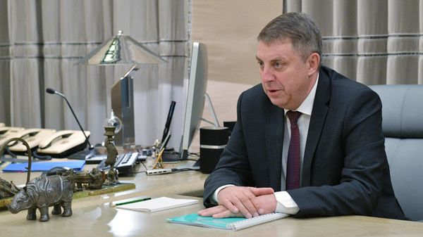 Губернатор Брянской области А. Богомаз - Sputnik Армения