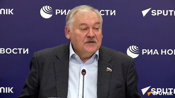 Если наблюдатели ЕС захотят поменять внутренний и внешний вектор Армении, мы будем с этим бороться — Затулин - Sputnik Армения