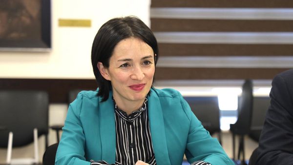 Министр ОНКС Жанна Андреасян приняла Чрезвычайного и полномочного посла Франции Анн Луйо (25 января 2023). Еревaн - Sputnik Армения