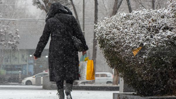 Женщина идет по улице Кочара в снежную погоду - Sputnik Армения