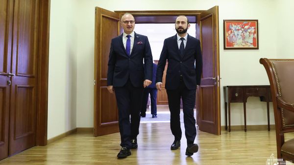Գորդան Գրլիչ Ռադմանն ու ՀՀ ԱԳ նախարար Արարատ Միրզոյանը  - Sputnik Արմենիա