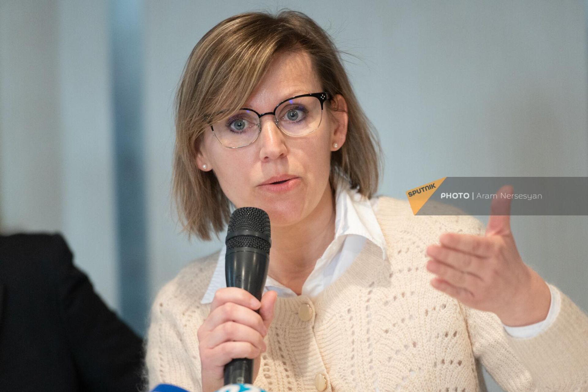 Член рабочей группы ООН по применению наемников Елена Апарак на пресс-конференции (27 февраля 2023). Еревaн - Sputnik Արմենիա, 1920, 27.02.2023