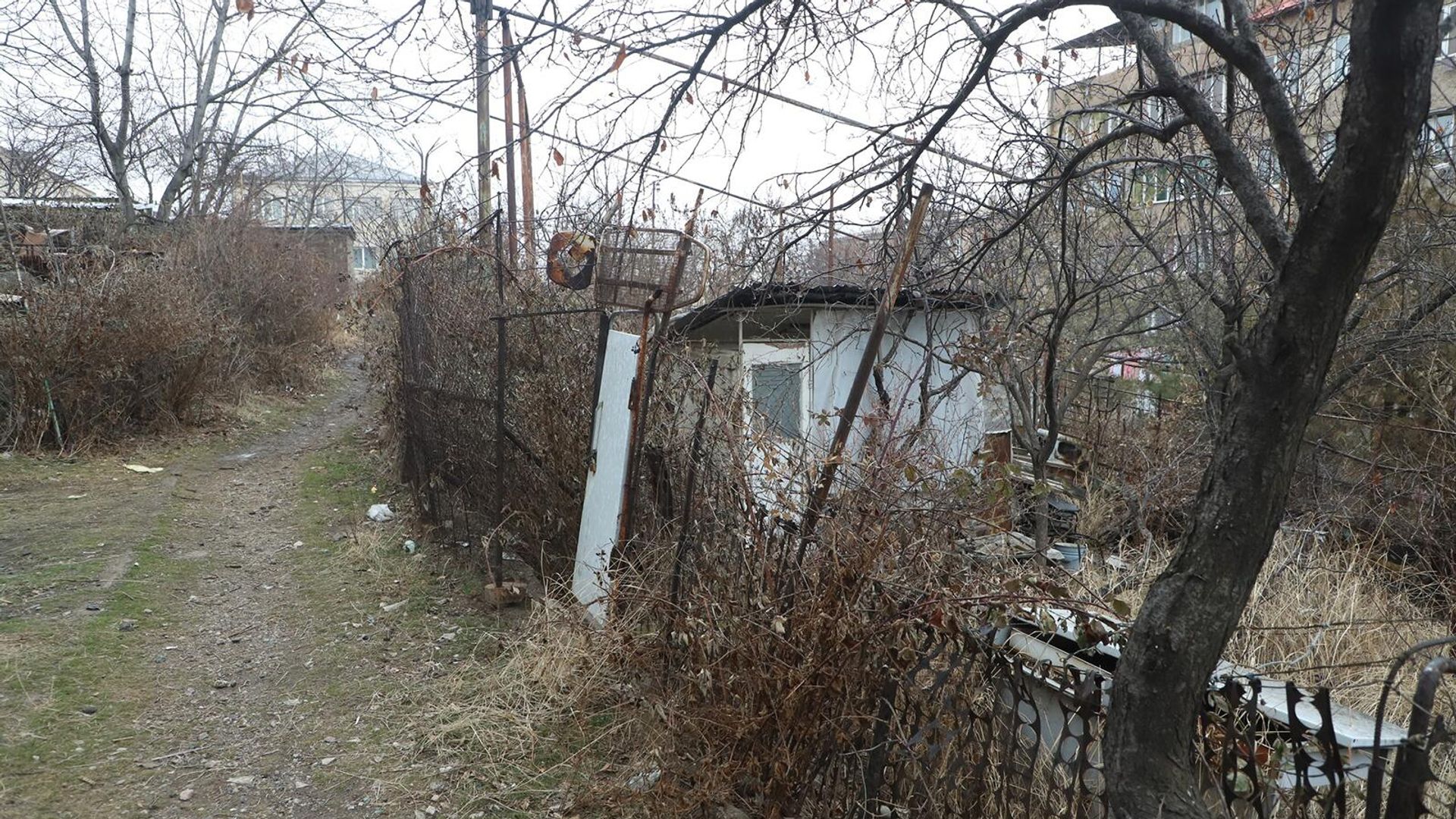 В административном районе Нор Норк продолжаются работы по освобождению незаконных построек на территориях зеленых зон - Sputnik Армения, 1920, 29.11.2023