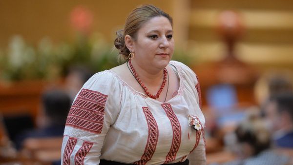 Румынский сенатор Диана Шошоакэ  - Sputnik Армения