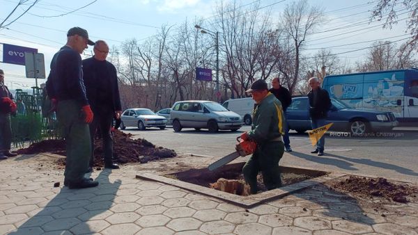 Արխիվային լուսանկար
 - Sputnik Արմենիա