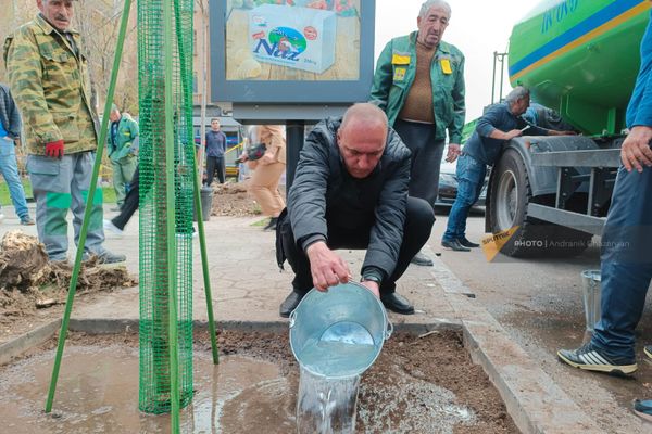 Посадка деревьев на улице Московян Посадка деревьев на улице Московян - Sputnik Армения