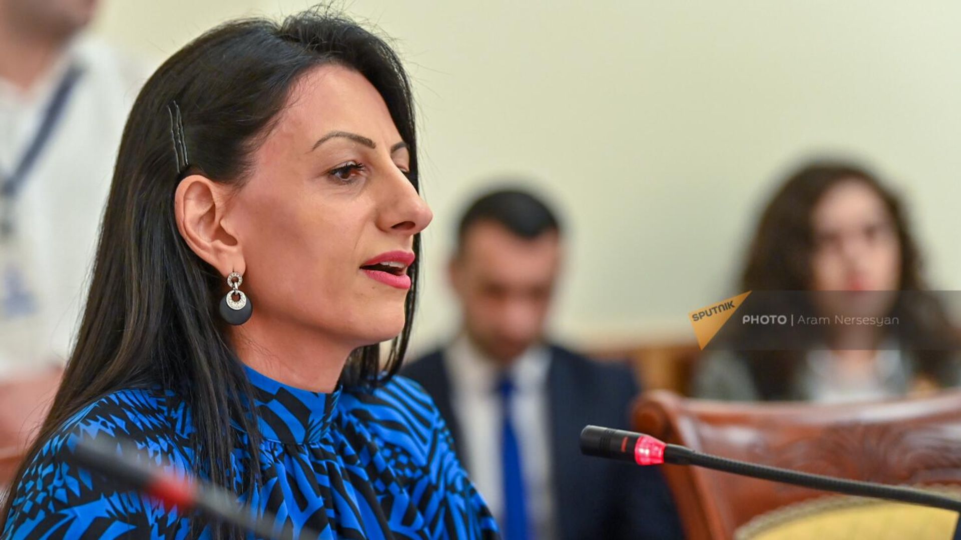 Анаит Манасян на заседании Постоянной комиссии НС по защите прав человека и общественным вопросам (4 апреля 2022). Еревaн - Sputnik Армения, 1920, 11.04.2023