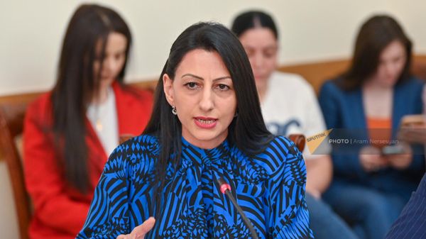 Анаит Манасян на заседании Постоянной комиссии НС по защите прав человека и общественным вопросам (4 апреля 2022). Еревaн - Sputnik Армения
